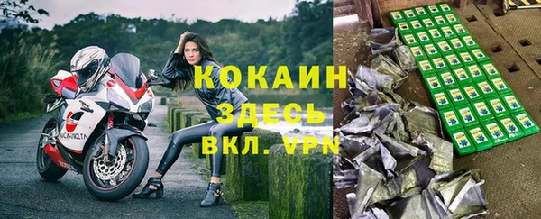 молекула духа Белокуриха
