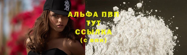 молекула духа Белокуриха