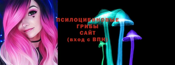молекула духа Белокуриха