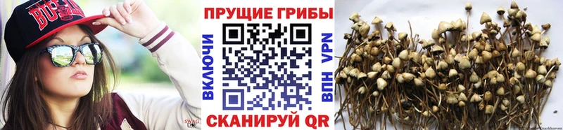 Псилоцибиновые грибы MAGIC MUSHROOMS  kraken зеркало  Ижевск  магазин продажи наркотиков 